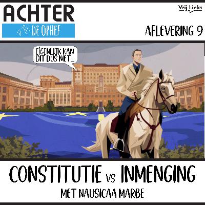 Constitutie vs. Inmenging met Nausicaa Marbe
