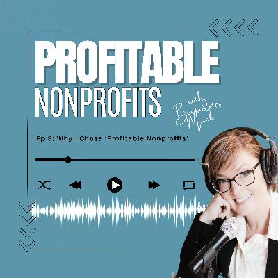 Why I Chose 'Profitable Nonprofits' - Ep. 3