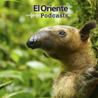 Episodio 6 - Entrevista a Marco Orozco