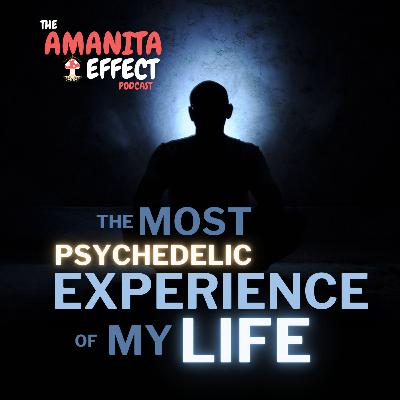 The Most Psychedelic Experience Of My LIFE