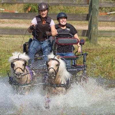 #79 Fahrsport #79 Fahrsport