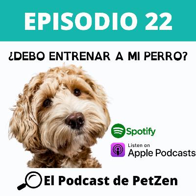 Episodio #22 Debo entrenar a mi perro?