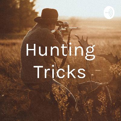 This is just an intro on what to expect from this audio blog