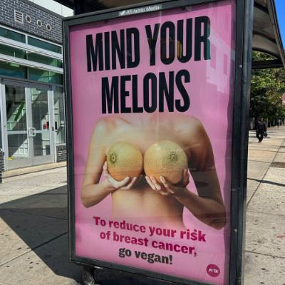 PETA Promotes Veganism to Reduce Breast Cancer