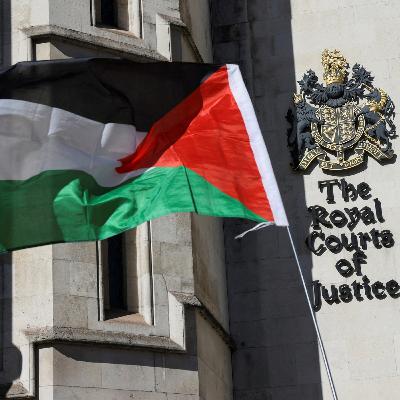 Palestine Action: UK govt loses bid to block legal challenge over ban