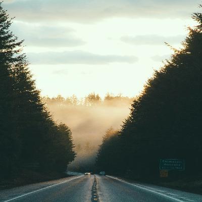 Wise Living Why to Get Outside and Travel and Read Aloud with Amber O'Neal Johnston (Episode 273)