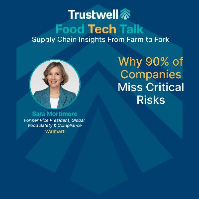 Why 90% of Companies Miss Critical Risks with Sara Mortimore Why 90% of Companies Miss Critical Risks with Sara Mortimore