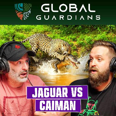 Ultimate Predator Battle: Filming Wildlife in Brazil – Ep. 6