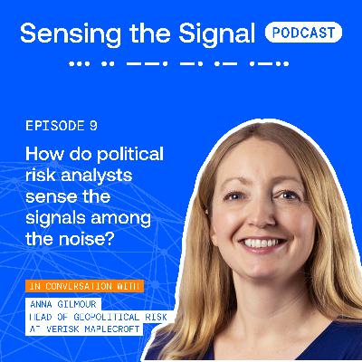How do political risk analysts sense the signals among the noise?