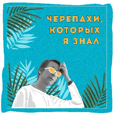 О впечатлениях О впечатлениях