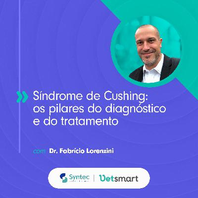 Síndrome de Cushing: os pilares do diagnóstico e do tratamento