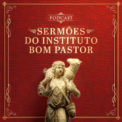A unidade da Igreja fundada sobre a cátedra de São Pedro. (09.11.2025)