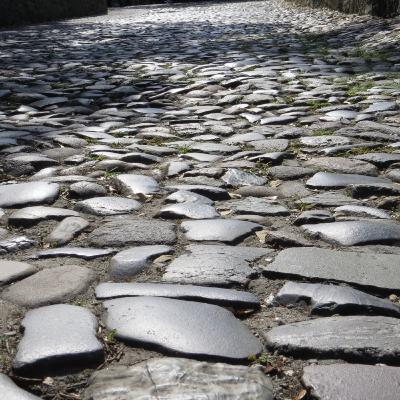 Episode 10: A Samaritan You Say? Episode 10: A Samaritan You Say?