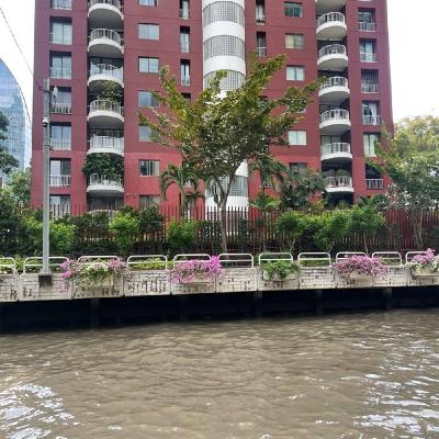 96/タイの美容室とQueen喪中 96/タイの美容室とQueen喪中