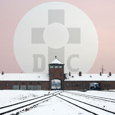 The Nazi Experiment Vol. 12: Positive Christianity as the "Christian Nationalism" of the Third Reich