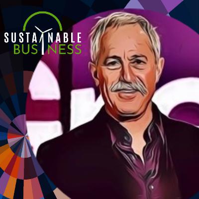 Business: The Sustainability Professional with Joel Makower, Founder of GreenBiz