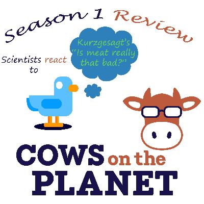 Season 1 Review