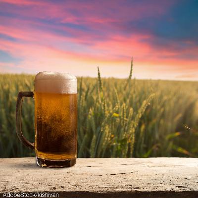 Regionale Spezialitäten