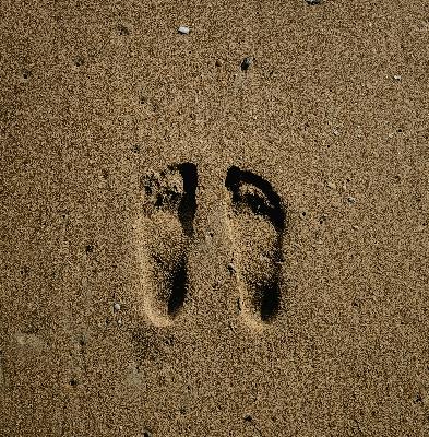 A Lasting Legacy