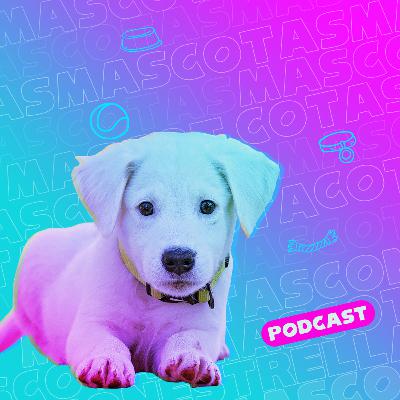Cuidado y cariño: la clave para una mascota feliz