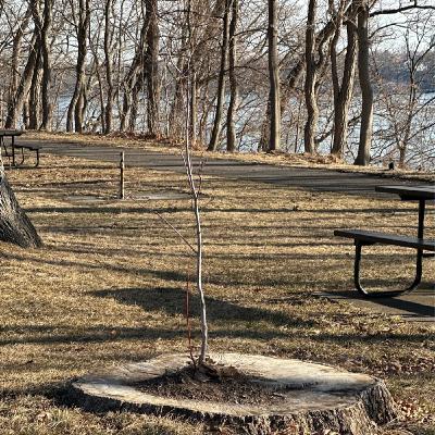 Thoughts on a Monday morning