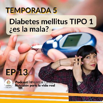 T5 Cap 13 | Diabetes mellitus tipo 1 ¿es la mala?