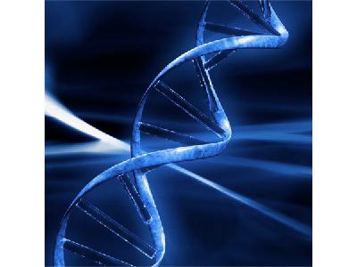 NGR Season 33 Episode 9: Musicians on the Playlist Starting with the Letter "A" NGR Season 33 Episode 9: Musicians on the Playlist Starting with the Letter "A"