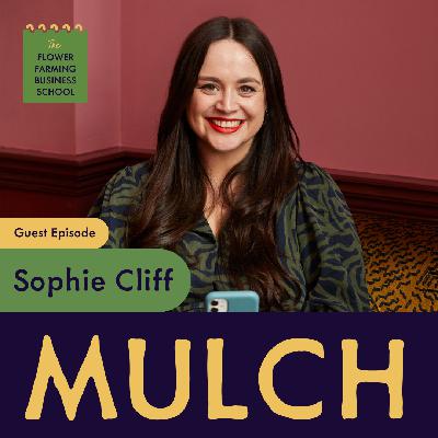 Rest and Productivity with Sophie Cliff