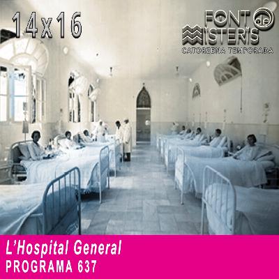 L'Hospital General| Font de Misteris 14x16 (637)