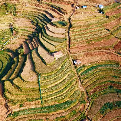 Indian farmers to protest over trade pressure