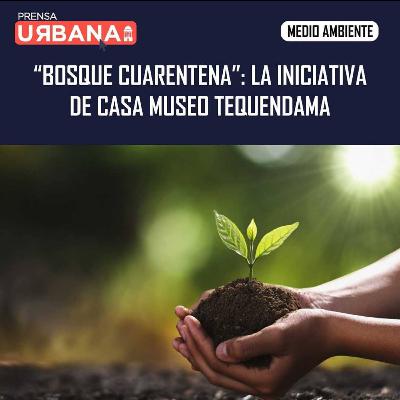 Adopta un árbol en Bosque Cuarentena - Prensa Urbana