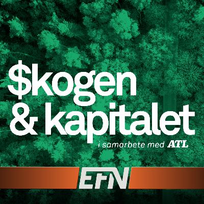 Från boom till baksmälla – Billerud om nordiska marknaden