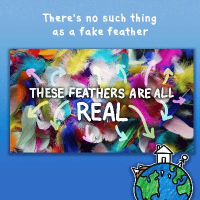 There’s no such thing as a fake feather There’s no such thing as a fake feather