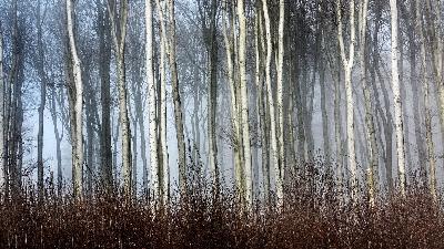 RotK Part 14: Concerning The Notion That It Was A Dream