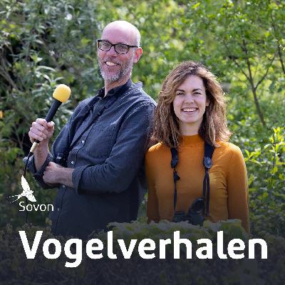 Vogelverhalen 20: De Roerdomp