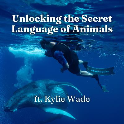 Unlocking the Secret Language of Animals ft. Kylie Wade for Pet Parents, Dogs, Cats, Pets Unlocking the Secret Language of Animals ft. Kylie Wade for Pet Parents, Dogs, Cats, Pets