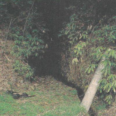 【第四十六考】銅山跡を探す