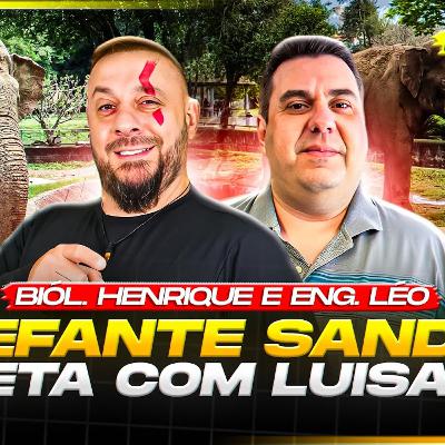 BIÓLOGO HENRIQUE E ENG. LÉO: ELEFANTE SANDRO E TRETA COM LUISA MEL - REDCAST