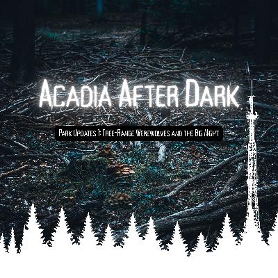Acadia After Dark Park Update 1