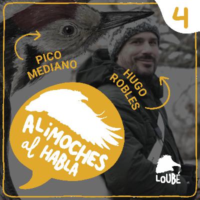 Indicativo, vocal y osado, con Hugo Robles #04