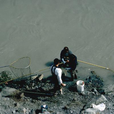 Copper River Dip Net