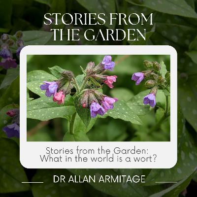 Stories from the Garden: What in the world is a wort?