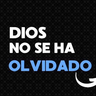 Dios no se ha olvidado. Dios no se ha olvidado.