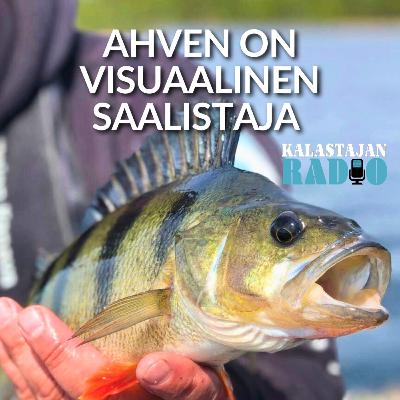 Ahven on visuaalinen saalistaja