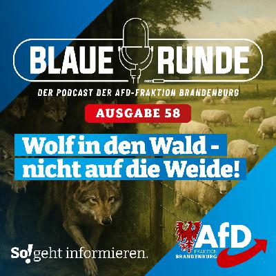 Wolf in den Wald - nicht auf die Weide! | Die Blaue Runde, Ausgabe 58/25 vom 09. November 2025
