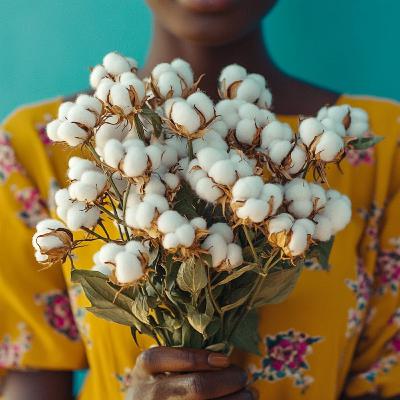 Are good intentions bad? With historian Bronwen Everill