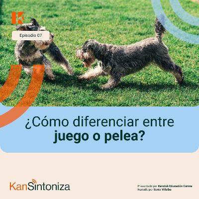 ¿Cómo diferenciar entre juego y pelea?