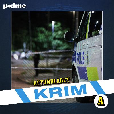 Skotten i Kallhäll och häktningen av ”Samurai”