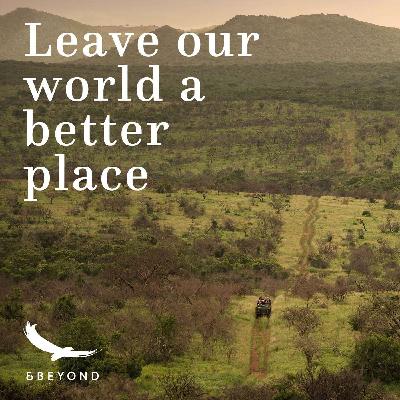 A guide’s journey with Thulani Mbazini