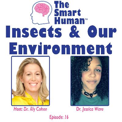 Insects and Our Environment Insects and Our Environment